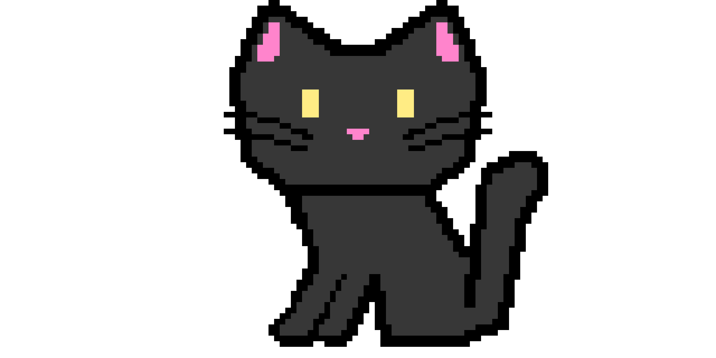Pixel Paws teenage black cat stage